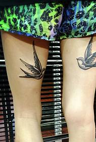 slika malih tetovaža lastavica koje se međusobno gledaju