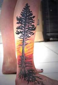 polpaccio bel tramonto e modello di tatuaggio dell'albero