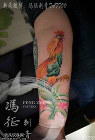 Dipinto bellissimo modello di tatuaggio grosso cazzo