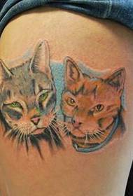 Eleganta personlighetsben, två vackra snygga tatueringsbilder på katt