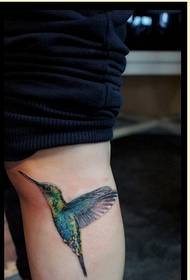 성격 다리의 아름답고 아름다운 컬러 벌새 문신 패턴 사진