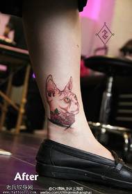 Jauks un labi izturējies lolojumdzīvnieku tetovējums