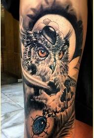 Personalità Lega Moda Owl craniu Diamond Tattoo Pattern Picture