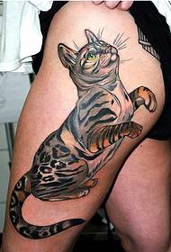Kaki perempuan fashion tampan gambar pola tato kucing