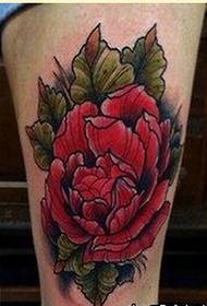 Bella immagine colorata del tatuaggio della rosa delle gambe femminili