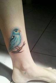 Dievča nohy módne vzhľad farebný vták tetovanie obrázok