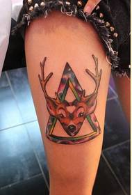 Gambe alla moda personalizzate, immagine triangolare dell'antilope stellata di colore dall'aspetto gradevole