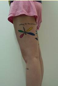 Pernas de meninas da moda bela pequena libélula com imagem de tatuagem de carta