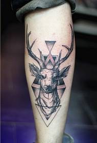 Divat gyönyörű lábszemélyiség antilop tetoválás kép