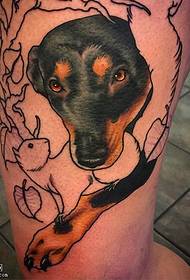 C figuras canis instar picta