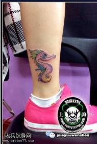 Kaunis värikäs lohikäärme tatuointikuvio