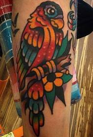 Festett papagáj tetoválás mintát a borjú