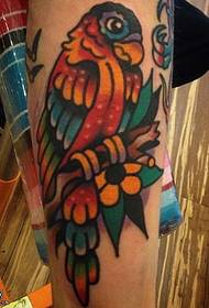Zojambula za parrot wa tattoo