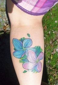 Due bellissime immagini di tatuaggi a quadrifoglio su bellissimi vitelli