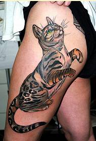 Beautiful and beautiful cat tattoo pattern pictures of individual female legs