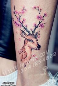 Нишони tatto shika sika marer tattoo