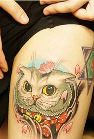 Fashionable female legs beautiful looking cat butterfly knot picture