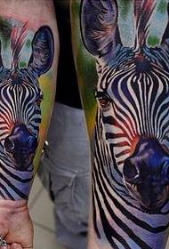 Kalv zebra tatuering mönster