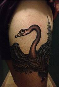 Gambe di personalità moda bella foto di cigno nero tatuaggio immagine