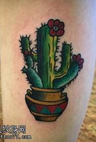 Patrón de tatuaje de cactus de ternera