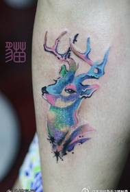 Immagine del tatuaggio dell'antilope stellata di colore della gamba