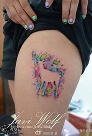 Lábszín színes splash antilop tetoválás minta
