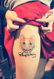 Gambar tato Inggris lucu kucing yang indah