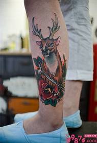 Color elk shank tattoo picture