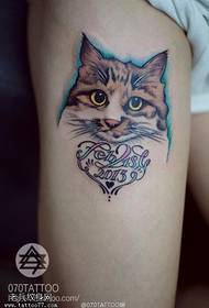 Piernas femeninas color gato alfabeto tatuaje foto
