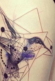 Immagine femminile graziosa dell'immagine del tatuaggio del colibrì di concetto di colore delle gambe