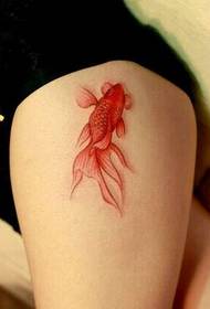 Noge djevojke prekrasna seksi HD mala tetovaža zlatne ribice