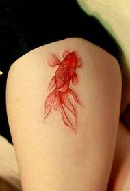Gambe di ragazza belle sexy HD piccola immagine del tatuaggio del pesce rosso