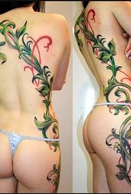 Sexy woman back to leg vine tattoo pattern picture