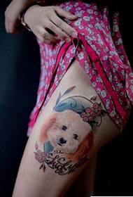 Šlaunų naminių šunų tatuiruočių modelio nuotrauka
