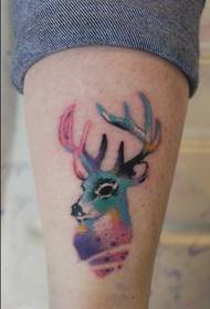 Gambe bellissime immagini colorate di tatuaggi fulvo