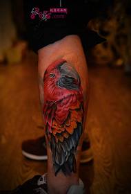 Calf domineering macaw tattoo tattoo