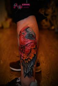 Calf domineering pictiúr tattoo macaw