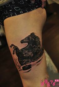 Crni konjski pokrivač ožiljak tetovaža slika