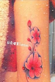 Personalidade pernas, pernas, flores, tatuagem, fotos de enciclopédia