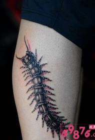 蜈蚣 tatoveringsbillede
