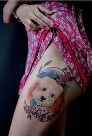 Augšstilba mājas suņa tetovējuma modeļa ieteicamais attēls