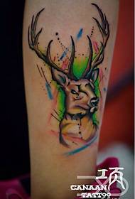 Leg color antelope tattoo pattern