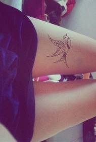 Moteriškos kojos nespalvotos kregždės tatuiruotės modelio nuotraukos
