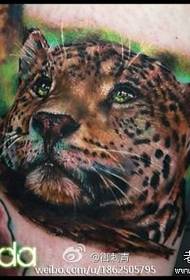 Klasika tendenco de koloraj leopardaj tatuoj sur la kruroj