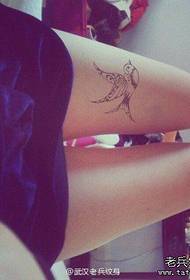 Gambe di donna nero grigio rondine tatuaggio modello