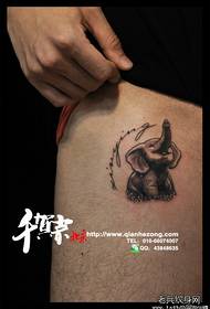 Pierna lindo patrón de tatuaxe de elefante