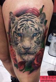 Lega tigra kapo tatuado