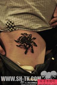 Modello di tatuaggio ragno super bello classico gambe maschili