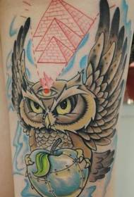 Super zgodan uzorak tetovaže sove na djevojčinoj nozi