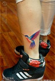 Tato burung kolibri warna kaki dipakai bersama oleh ruang tato